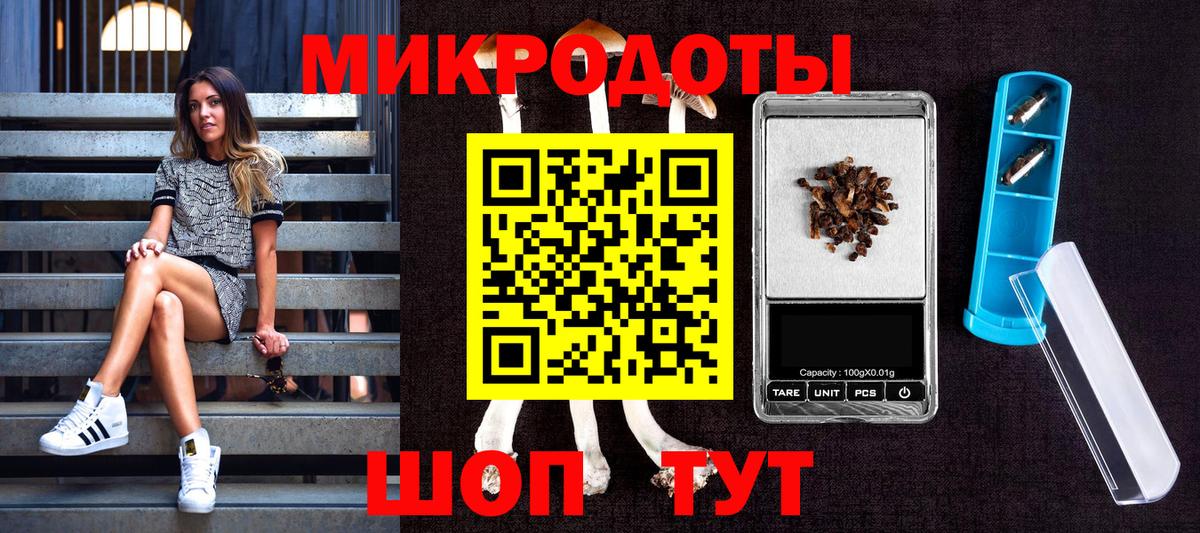 где купить наркоту  Галлюциногенные грибы Magic Shrooms  Вход с VPN  Батайск 